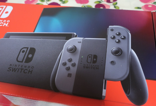 今さら超初心者向け 任天堂スイッチ Nintendo Switch を買って リングフィットアドベンチャーしよう 予習用解説 感想